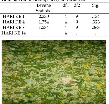 Gambar 3. Sediaan gel basis HPMC 3% dan gel ekstrak  daun jarak cina (Jatropha multifida) konsentrasi 5, 10,  15%