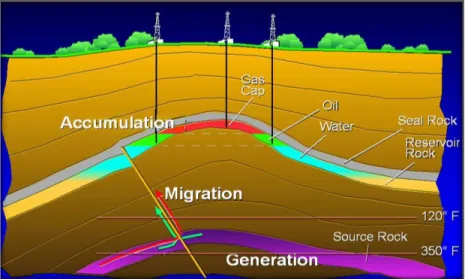 Gambar 2.6. Petroleum System (www.earthscienceworld.org) 