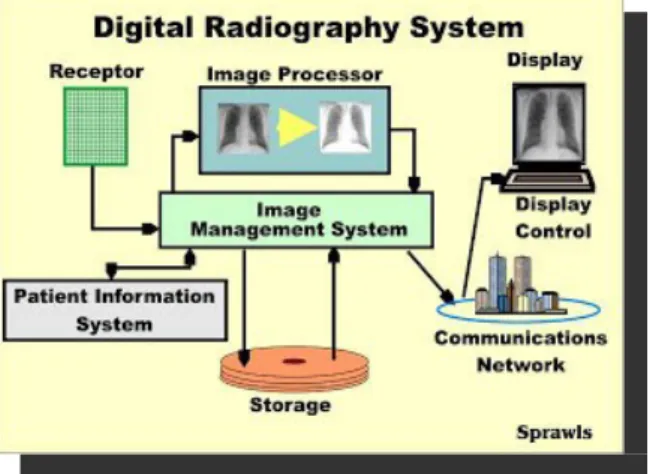 Gambar 3.1 Digital Radiography System