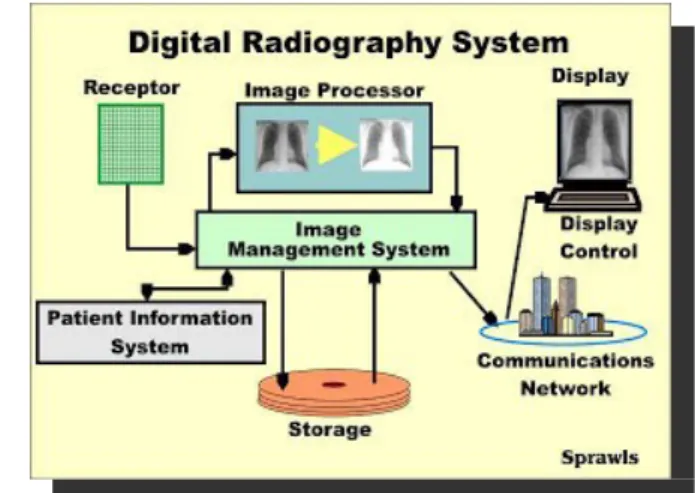 Gambar 3.3 Image Receptor