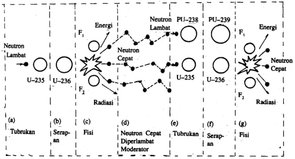 Gambar 4.1. Skema Terjadinya Reaksi Nuklir dengan Fisi. 