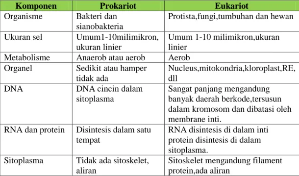 Tabel 2.2 Perbedaan Sel Prokariotik dan Sel Eukariotik 