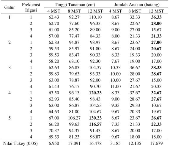 Tabel 1.   Interaksi antara galur dengan frekuensi irigasi terhadap tinggi tanaman dan jumlah  anakan 