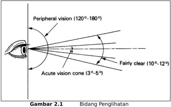 Gambar 2.1 Bidang Penglihatan