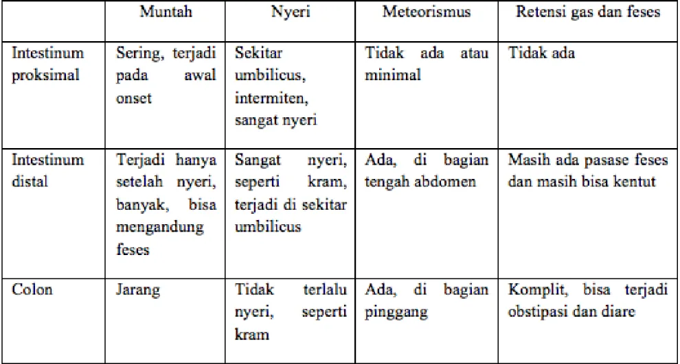 Tabel 3. Lokasi ileus berdasarkan gejala yang muncul. Siegenthaler W. Ileus. In: Differential Diagnosis in Internal Medicine, From Symptom to Diagnosis