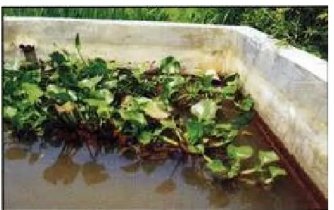 Gambar kolam  neutralization