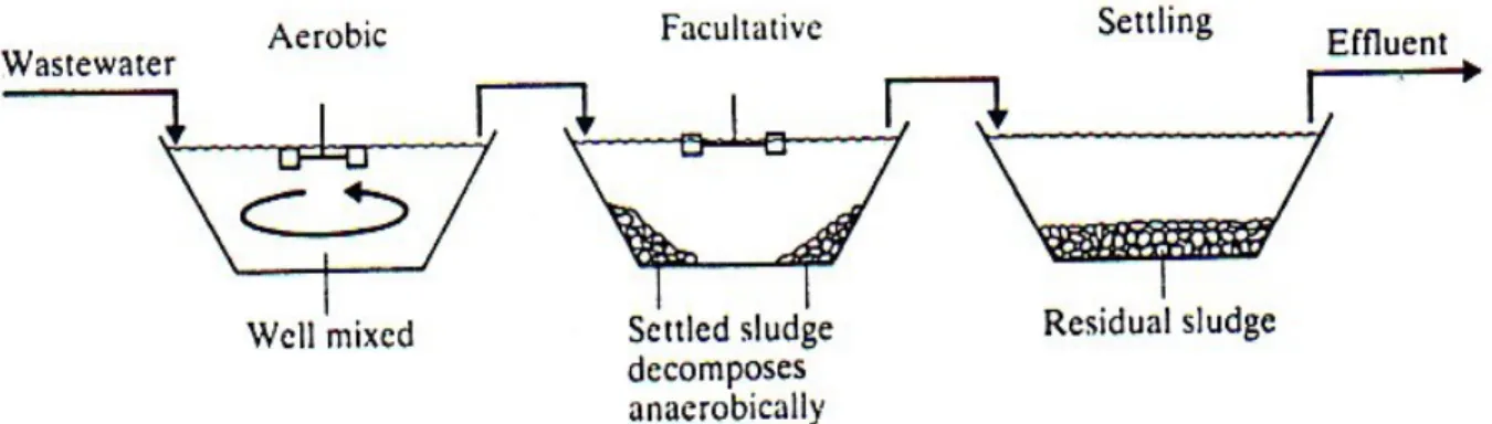 Gambar Aerated lagoon types AERATOR