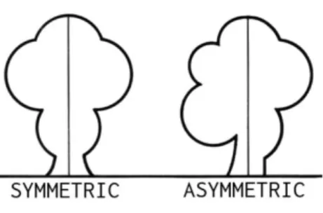 Gambar 2.8 Keseimbangan Simetri dan Asimetri 