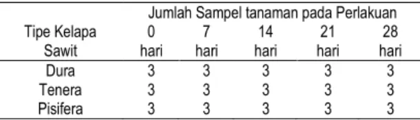 Tabel 1.  Jumlah sampel tanaman kelapa sawit yang  digunakan untuk pengukuran β-karoten  Tipe Kelapa 