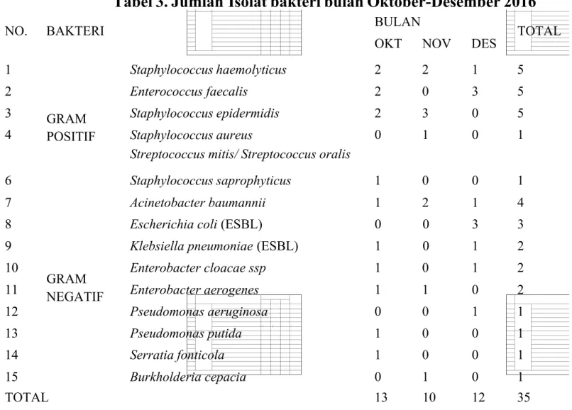 Tabel 3. Jumlah Isolat bakteri bulan Oktober-Desember 2016