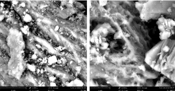 Gambar 4.1. Struktur morfologi permukaan (a) adsorben tulang sapi murni        (b) adsorben tulang sapi teraktivasi HNO 3  1 M 