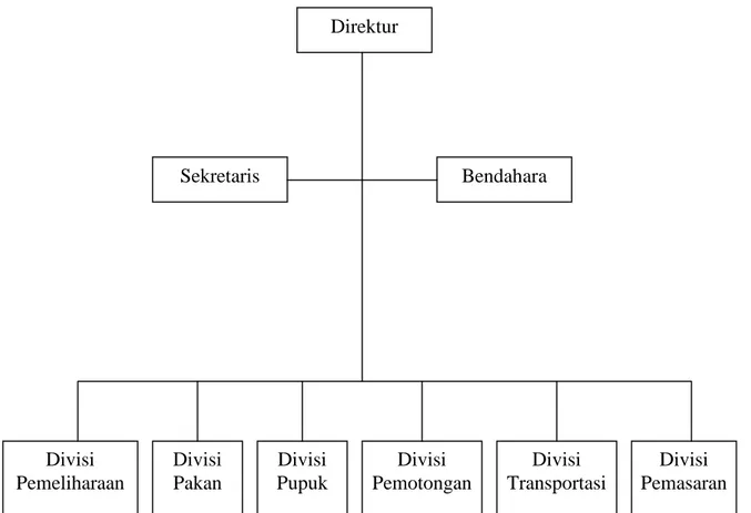 Gambar 1. Bagan Struktur Organisasi CV. Plesungan Raya 