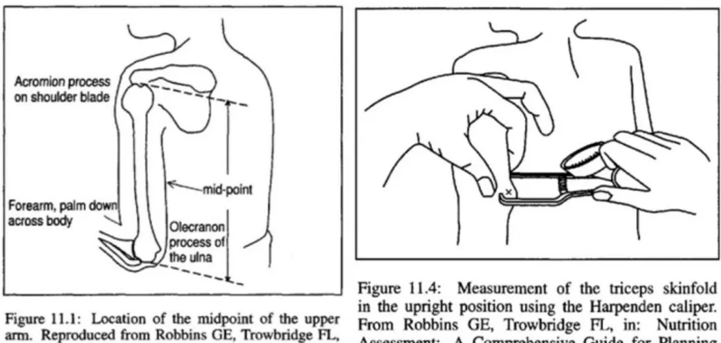Gambar 2. Lokasi Pengukuran Skinfold Triceps 14