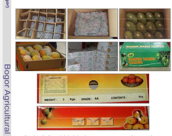 Gambar 7 Contoh label dan kemasan mangga untuk pasar ekspor