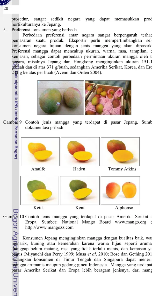 Gambar 9 Contoh jenis mangga  yang terdapat  di  pasar  Jepang. Sumber: dokumentasi pribadi