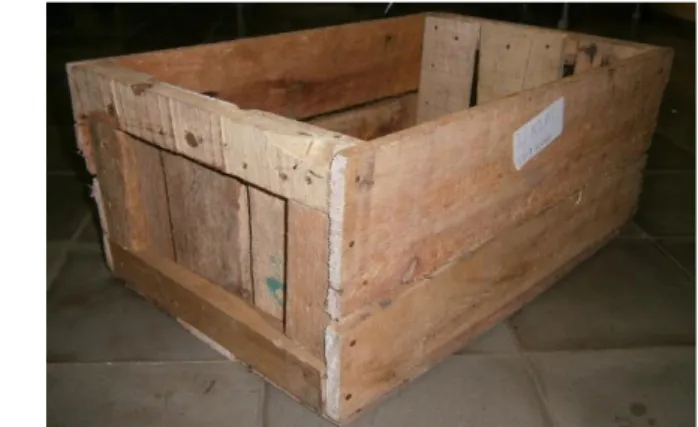 Gambar 2. Peti kayu untuk pengemasan buah tomat selama simulasi transportasi 