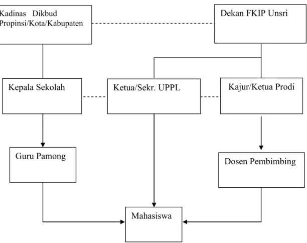 Gambar 2.1.  Struktur Organisasi  Pengelolaan Mata Kuliah P4  