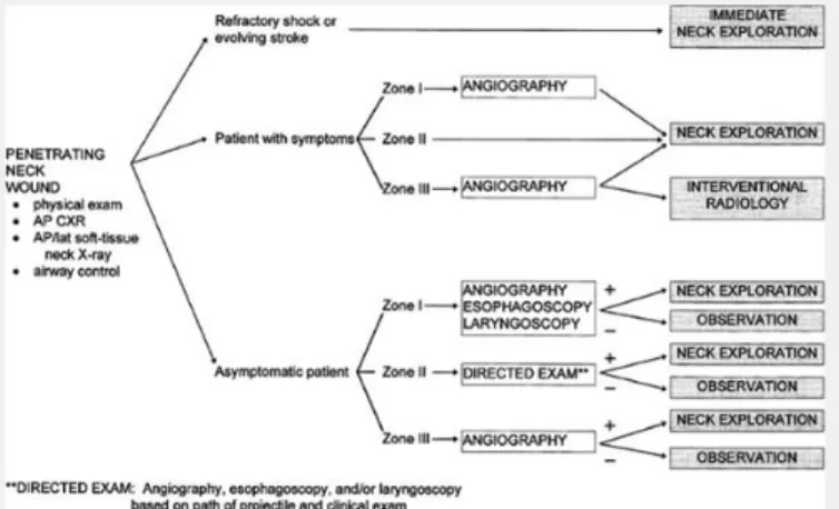 Figure  72.9  Algorithm  for  the  initial  management  of  patients  with  penetrating  injuries  to  the  neck