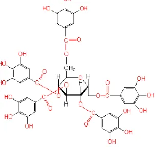 Gambar 2. Struktur Kimia Tanin  (Sumber: Google Images, 2016) 