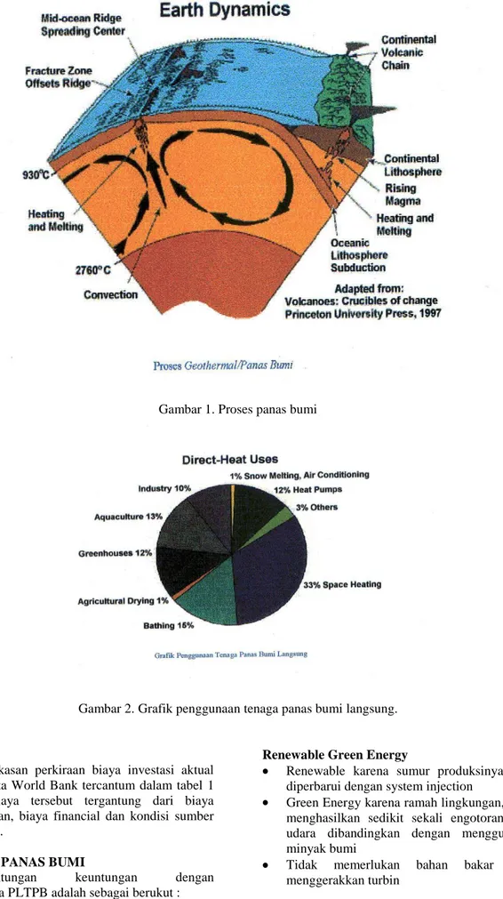 Gambar 2. Grafik penggunaan tenaga panas bumi langsung. 