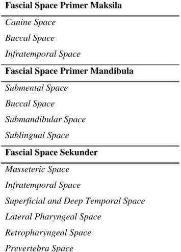 Tabel 1. Fascial space yang terlibat dalam infeksi odontogenik(Peterson, 2003) 