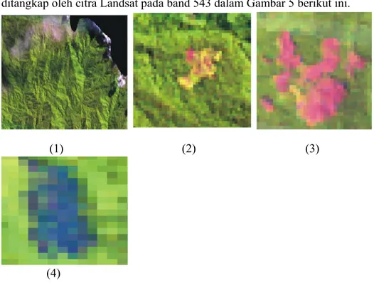 Gambar 5. Beberapa Contoh Cuplikan Citra Satelit dengan Kombinasi Band  543: (1) Hutan, (2) Kebun Campuran, (3) Lahan Terbuka, (4)  Sawah 