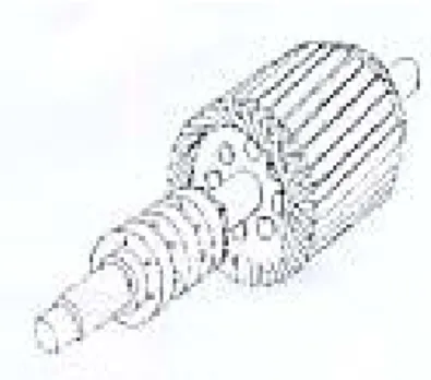 Gambar 9. Kumparan Rotor  ( Zuhal, 1991 : 64 )  4.  Lampu Indikator 