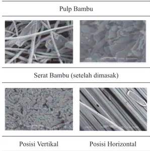 Gambar  8. Struktur Mikro Bambu, Pulp dan  Serat Bambu Tali (SEM, 500 X) Komposit Bambu 