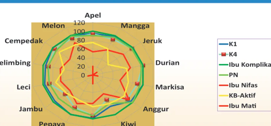 Gambar 8. Contoh Grafi k Laba-Laba atau Diagram Radar  untuk Pelayanan K1-K4-PN-Ibu Nifas–KB Aktif pada 