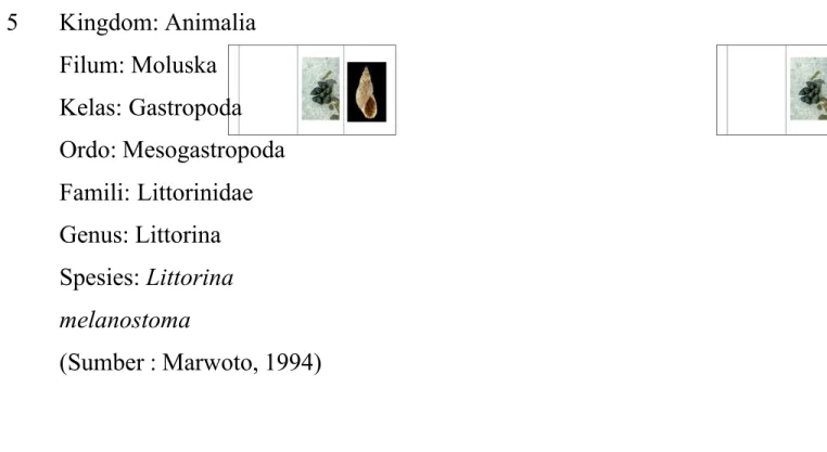 Tabel 4.4 Keanekaragaman jenis tanaman air di titik 6