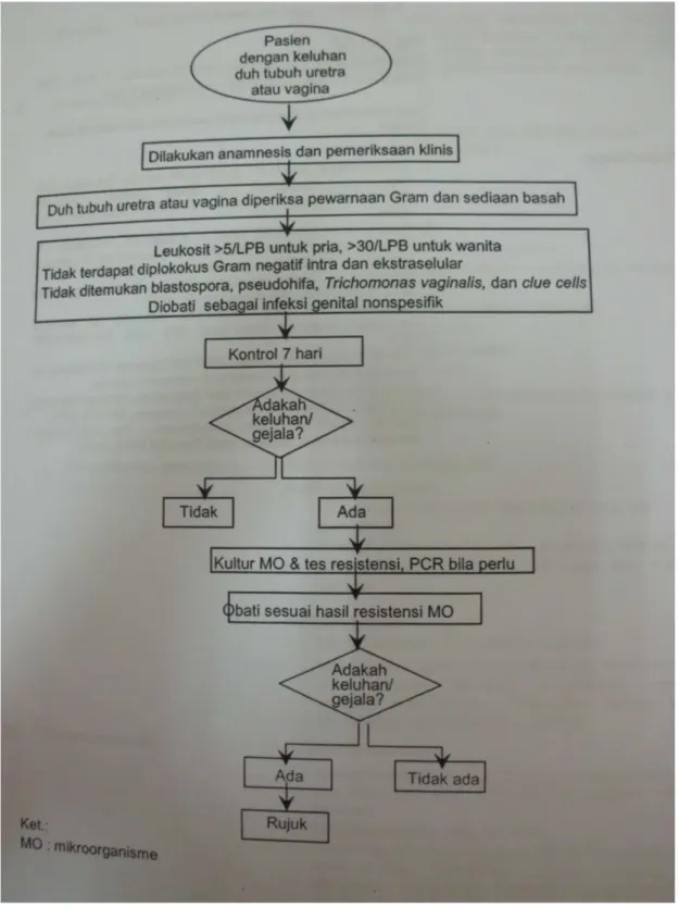 Gambar 2: Diambil sesuai aslinya dari Prosedur Pelayanan Medis Perhimpunan Dokter Spesialis Kulit dan Kelamin Indonesia (PERDOSKI), 2011