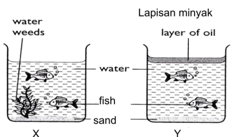 Figure shows the set up of apparatus which are placed under sunlight. 