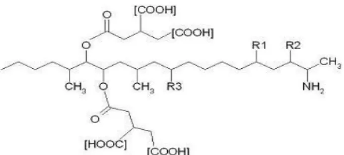 Gambar 4. Struktur Kimia Fumonisin B 1 -B 4