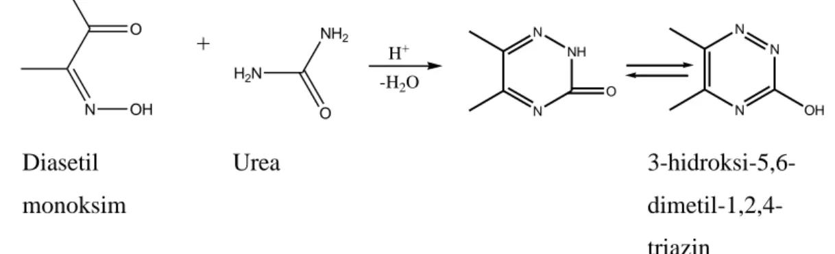 Gambar 1. Reaksi kondensasi diasetil monoksim dan urea 