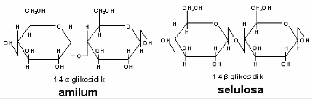 Gambar 1.3. Perbedaan ikatan glikosidik antara amilum dan selulosa  Lemak (lipid) 