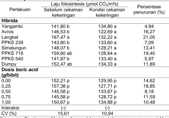 Tabel 7. Laju fotosintesis bibit kelapa sawit  Perlakuan 