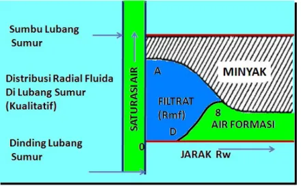 Gambar 12. Distribusi radial fluida di sekitar lubang bor sesudah invasi mud filtrat.