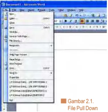 gambar pada lembar kerja yangtersedia.Gambar 2.1.File Pull Down