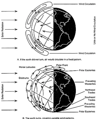Gambar 3.1. Siklus angin secara global  