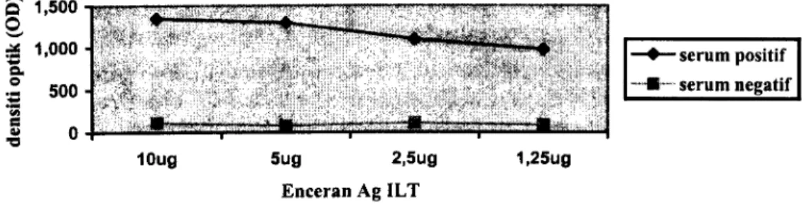 Gambar 1 . Checkerboard Ag ILTdengan enceran serum 1 :100