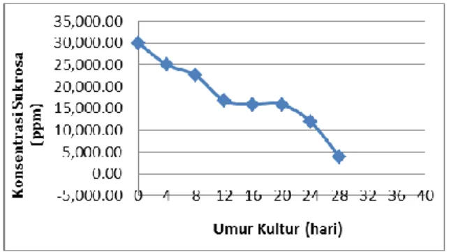 Gambar 3. Konsentrasi sukrosa medium kultur suspense  jeruk purut (Citrus hystrix D.C)