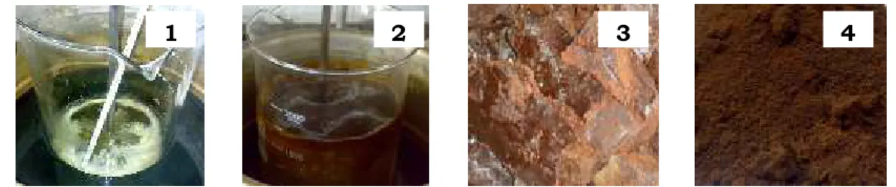 Gambar 2. Tahapan dalam sintesis faktis cokelat Figure 2. Steps on brown factice synthesis Keterangan (Remaks) : 