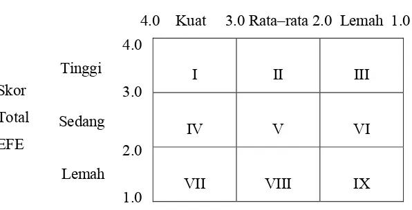 Gambar 3. Matriks Internal Eksternal (IE) Sumber : Umar, H, 2003  
