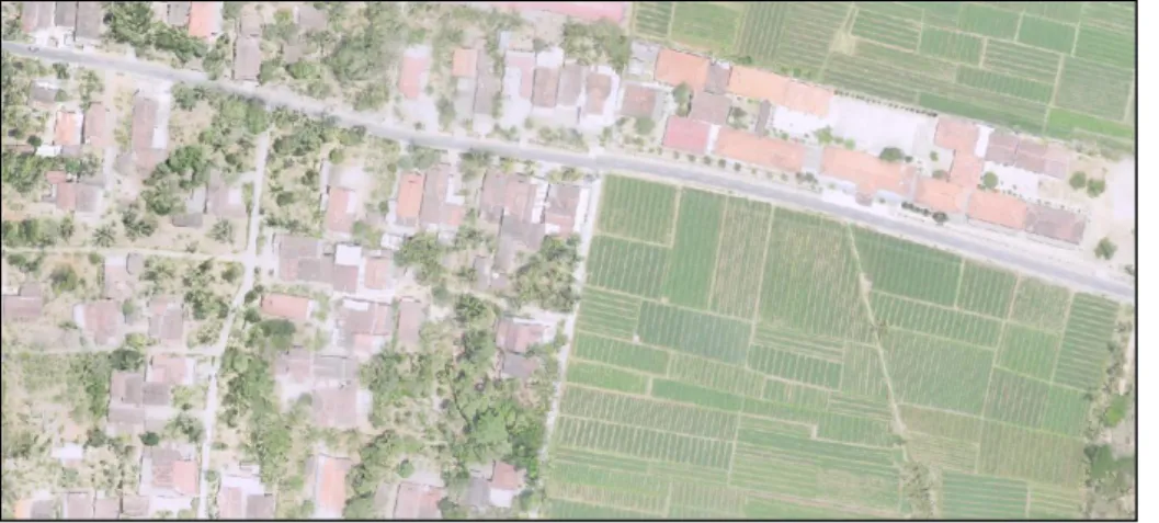 Gambar 4.Contoh foto udara Desa Parangtritis. Sumber: Rosaji, dkk, 2015