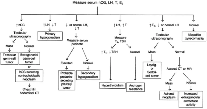 Gambar 2. Interpretasi pemeriksaan level serum 1