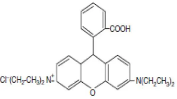 Gambar 2.5. Struktur molekul Rhodamin B 