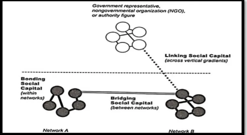 Gambar 3. Bonding, Bridging dan Linking Social Capital 