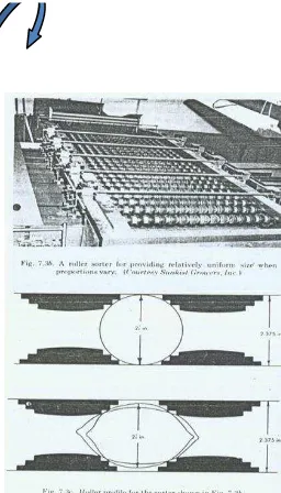 Gambar  14. Roller sorter 