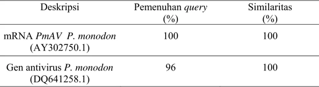 Tabel 2  Similaritas sekuen gen antivirus PmAV udang windu P. monodon dengan  gen antivirus pada Bank Gen 