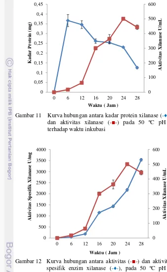 Gambar 11 Kurva hubungan antara kadar protein xilanase ( -♦-), 